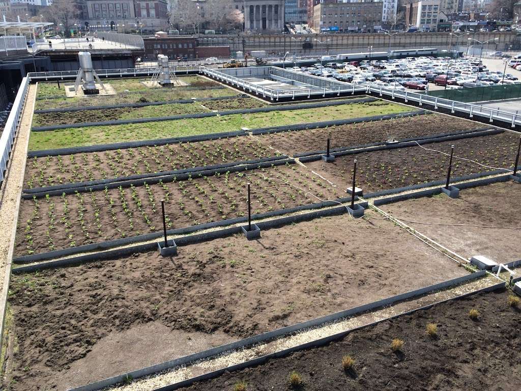 The Living Roof | 1 Ferry Terminal Viaduct, Staten Island, NY 10301, USA | Phone: (347) 915-4114