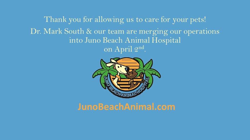 Town & Country Animal Hospital: Dr. Mark P. South | 11788 US-1, Palm Beach Gardens, FL 33408, USA | Phone: (561) 626-1233