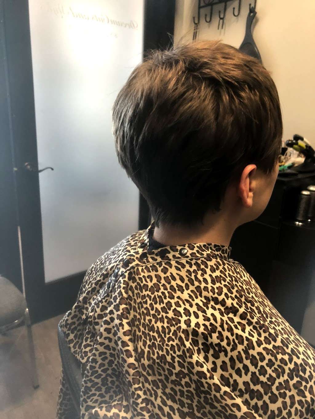 Dreamcuts And Styles Hair Salon | Blue Lion Salon Studios 9107, Farm to Market Rd 723, Richmond, TX 77406 | Phone: (832) 310-6159