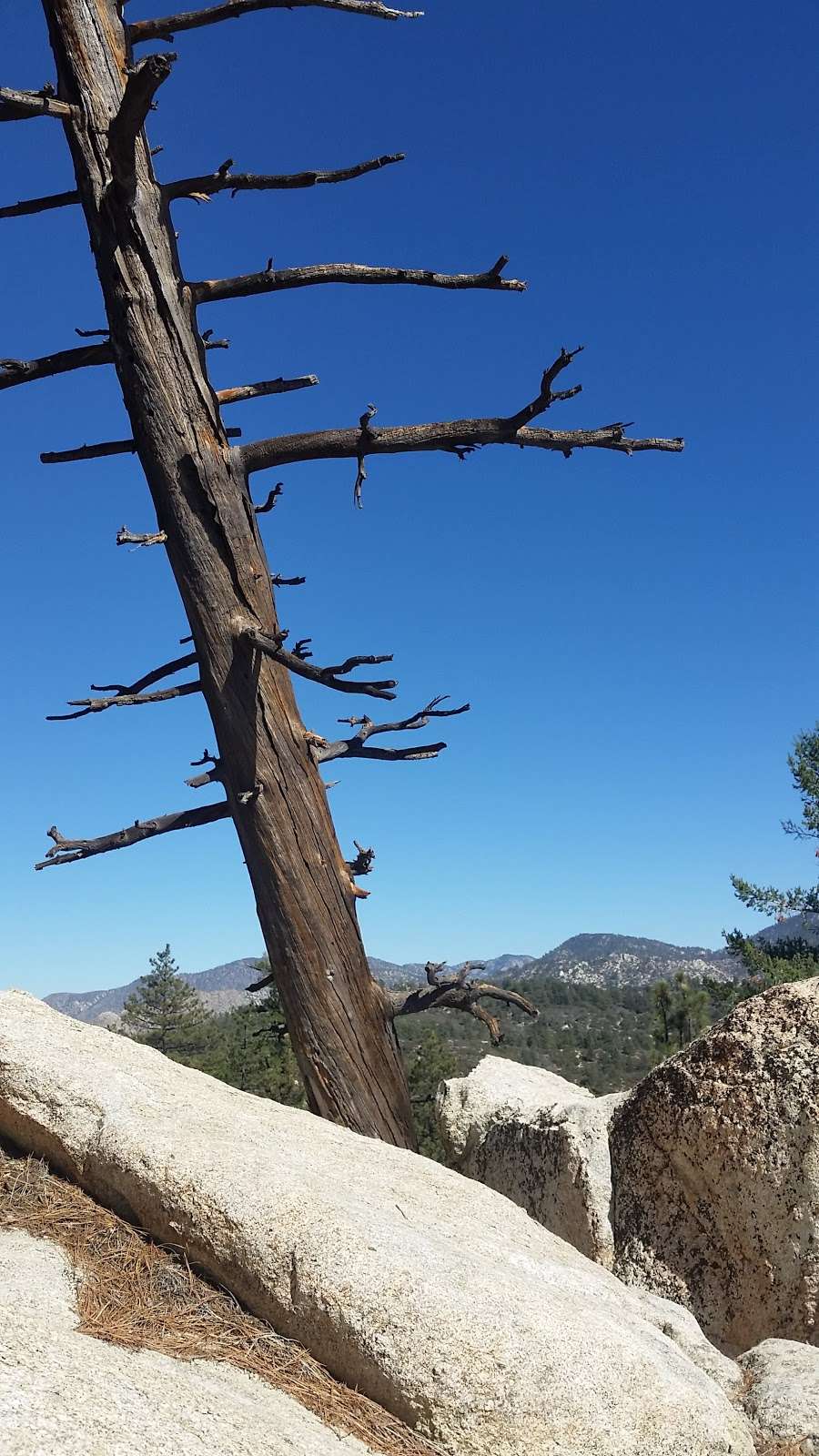 Horse Flats Boulders | Palmdale, CA 93550