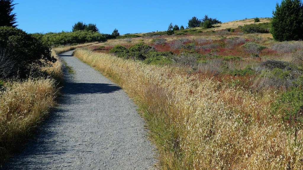 Old Guadalupe Ridge Trail | Old Guadalupe Trail, Daly City, CA 94014, USA