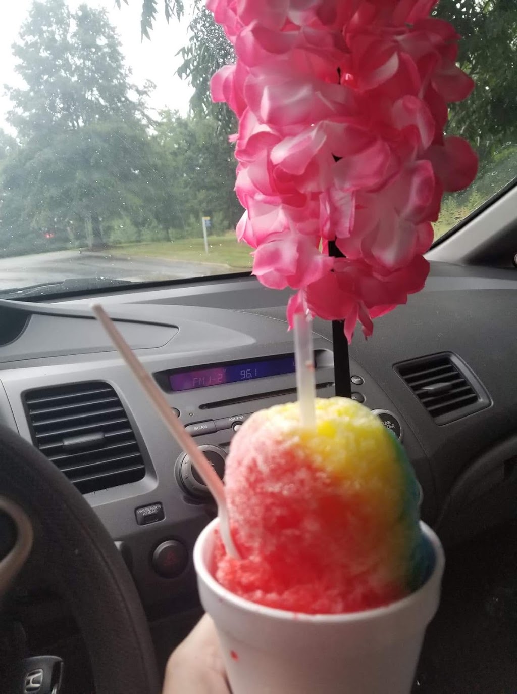 Pelicans Snoballs | 5400 State Hwy 55, Lake Wylie, SC 29710 | Phone: (931) 607-4433