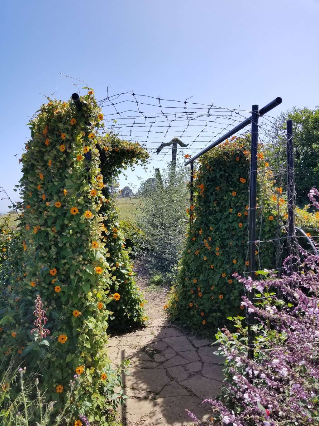 Life Lab | 1156 High St, Santa Cruz, CA 95064, USA | Phone: (831) 459-2001