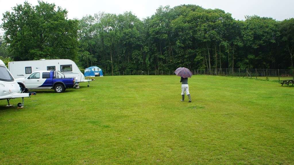 Cedar Gables Campsite | Hastings Road, Wadhurst, Goudhurst, Wadhurst TN5 7QA, UK | Phone: 07764 487968