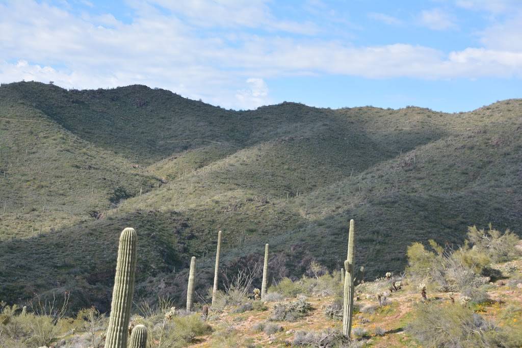 McDowell Mtn Preserve | N Eagle Ridge Dr, Fountain Hills, AZ 85268, USA