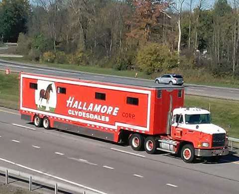 Hallamore Transportation Co | 795 Plymouth St # 1, Holbrook, MA 02343, USA | Phone: (781) 767-2000