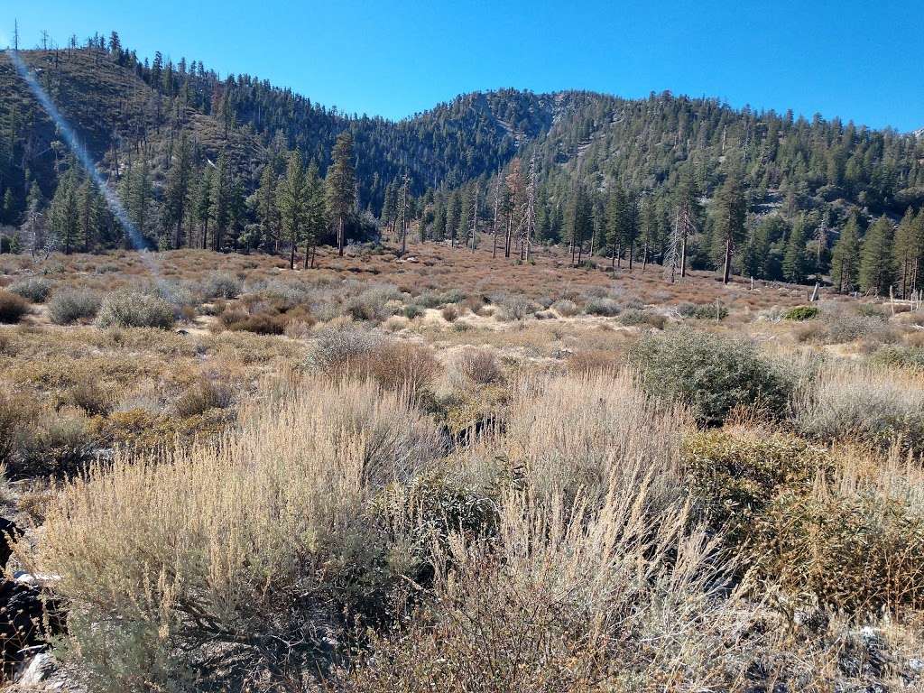 Big Horn Campground | Lytle Creek, CA 92358