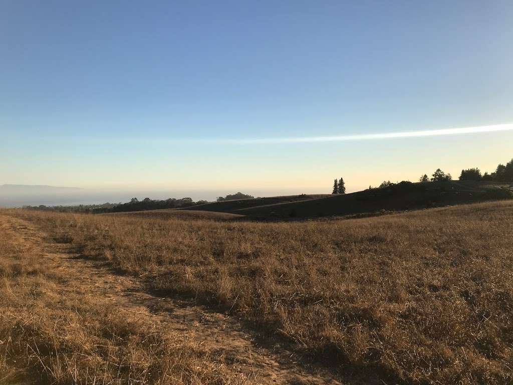 Great Meadow | Santa Cruz, CA 95064, USA