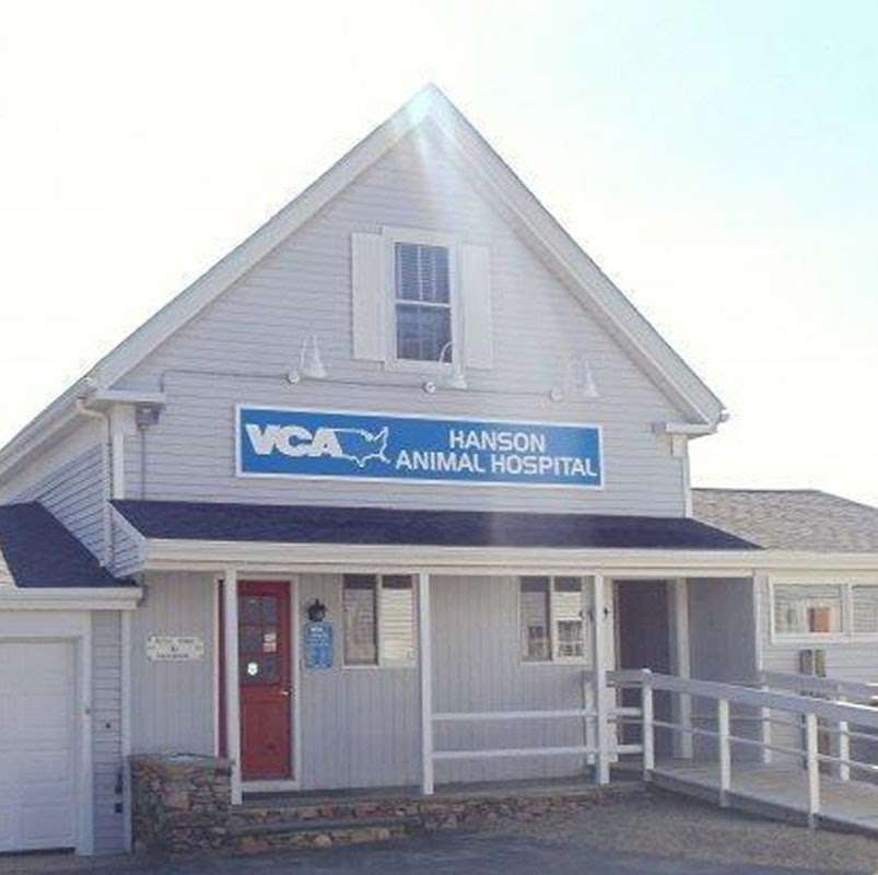 VCA Hanson Animal Hospital | 705 Main St, Hanson, MA 02341, USA | Phone: (781) 293-2511