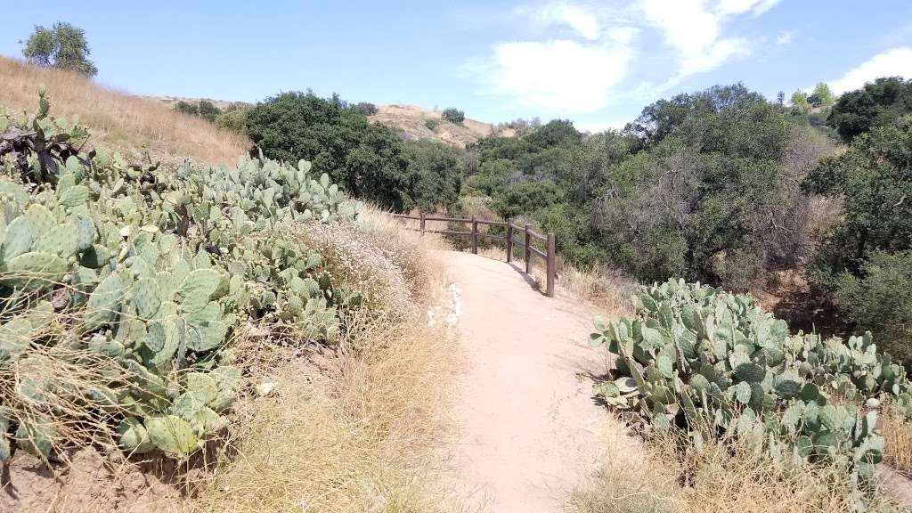 Steep Canyon Trail | 902 Steep Canyon Rd, Diamond Bar, CA 91765