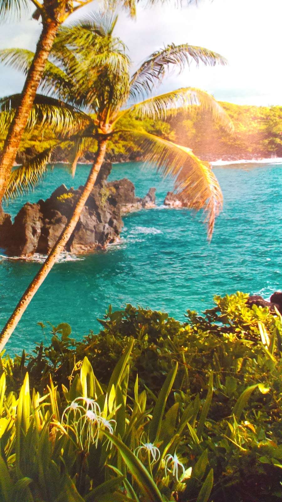 Jules Vision Center | 1401 NY-300 #1054, Newburgh, NY 12550, USA | Phone: (845) 566-9179