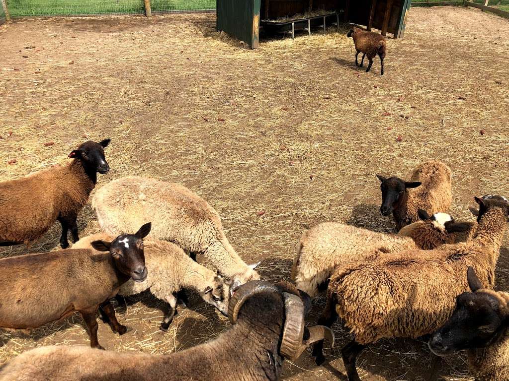 Johnsons Locust Hall Farm | 2691 Monmouth Rd, Jobstown, NJ 08041, USA | Phone: (609) 353-9000