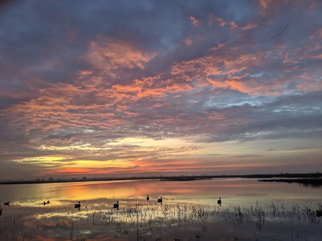 Yolo Bypass Wildlife Area | 45211 Co Rd 32B, Davis, CA 95618, USA | Phone: (916) 445-0411