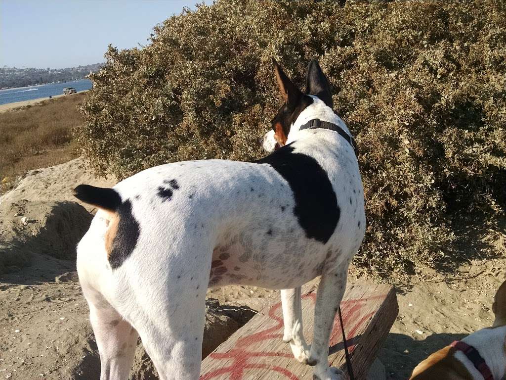 Hunting ,Training Area , North End | 493 Fiesta Island Rd, San Diego, CA 92109, USA