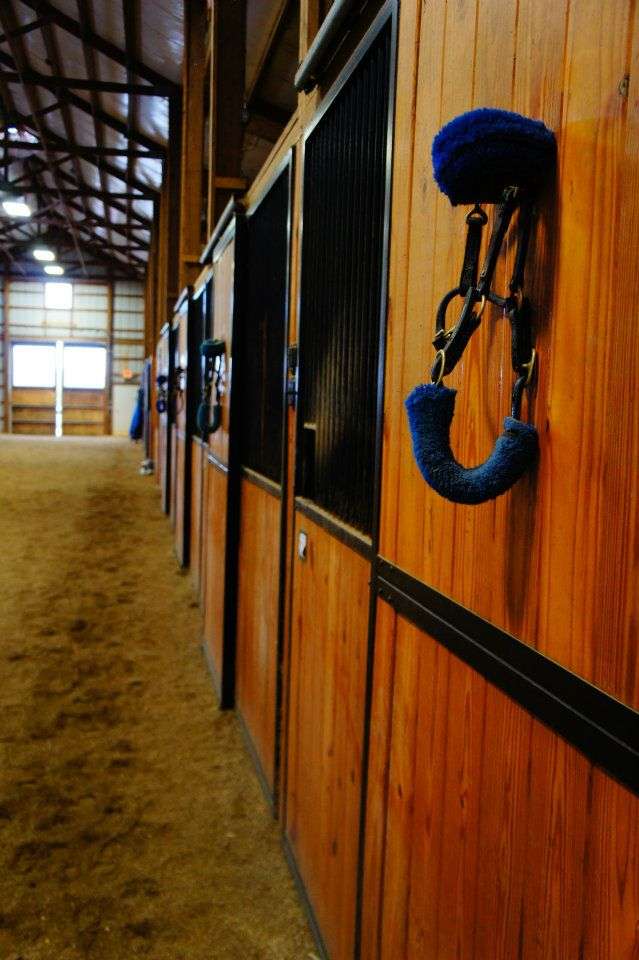 dreamview stables huntersville nc