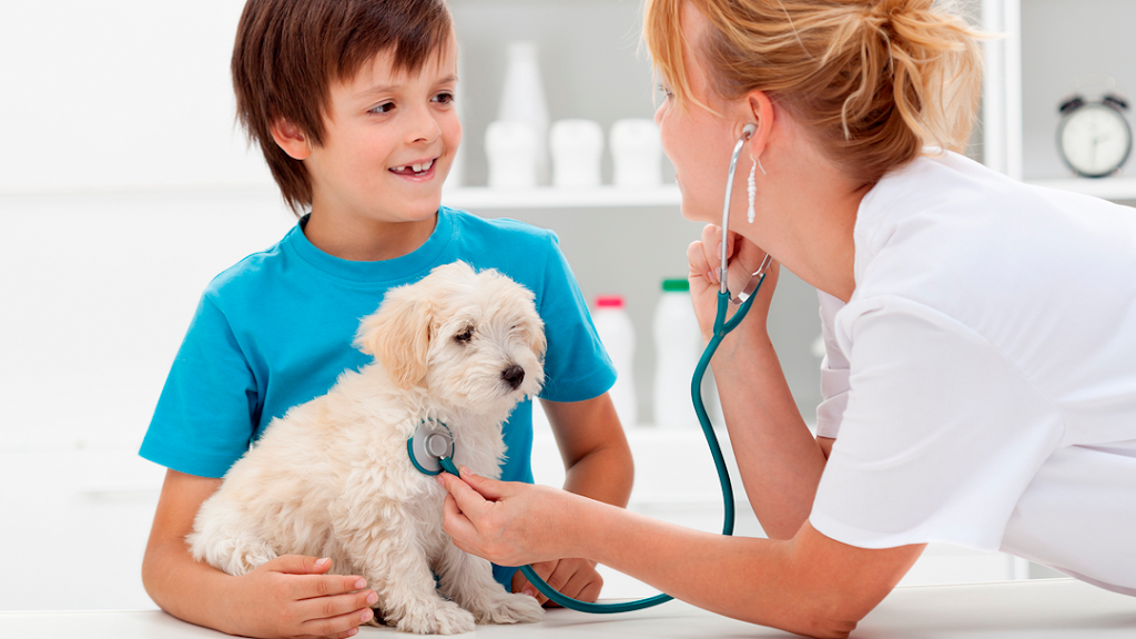 Ardenwood Pet Hospital | 4900 Paseo Padre Pkwy, Fremont, CA 94555, USA | Phone: (510) 791-8235