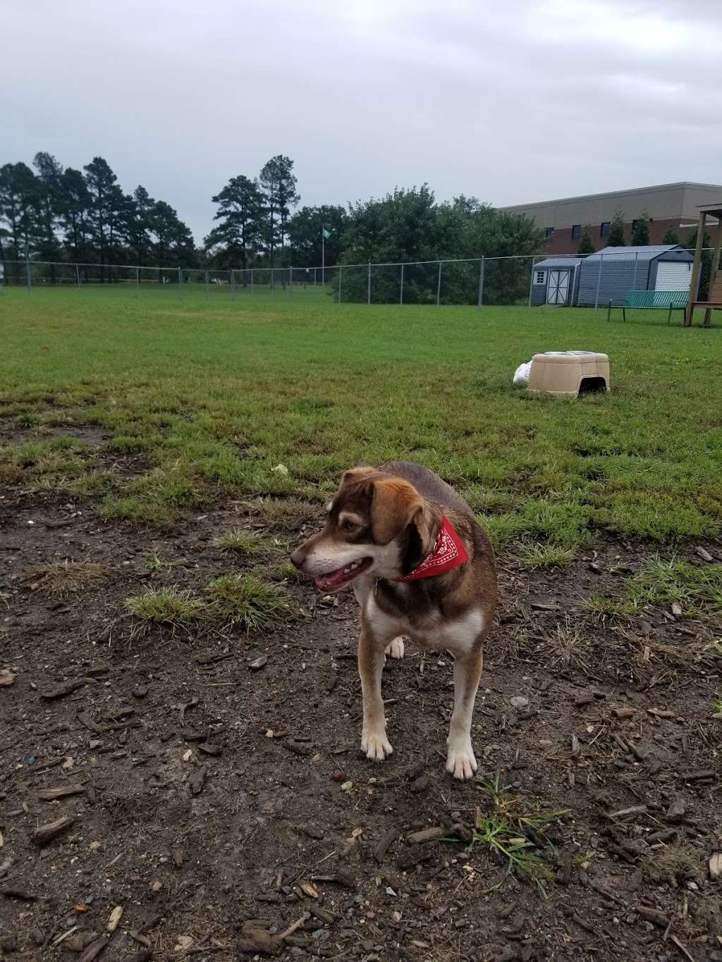 Manassas Park Dog Park | 38°4702.9"N 77°2741.3"W, Manassas Park, VA 20111, USA