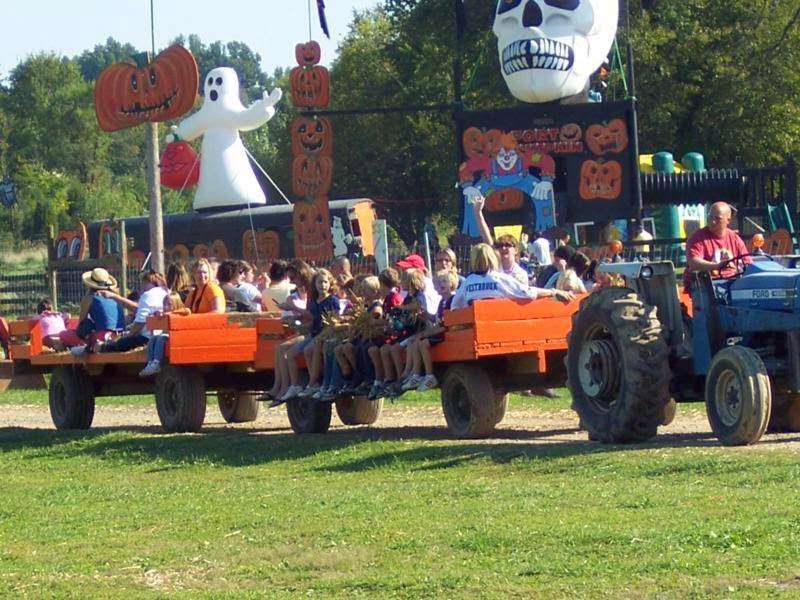 Pumpkin Village Fall Fest | 19270 James Monroe Hwy, Leesburg, VA 20176, USA | Phone: (703) 433-0002