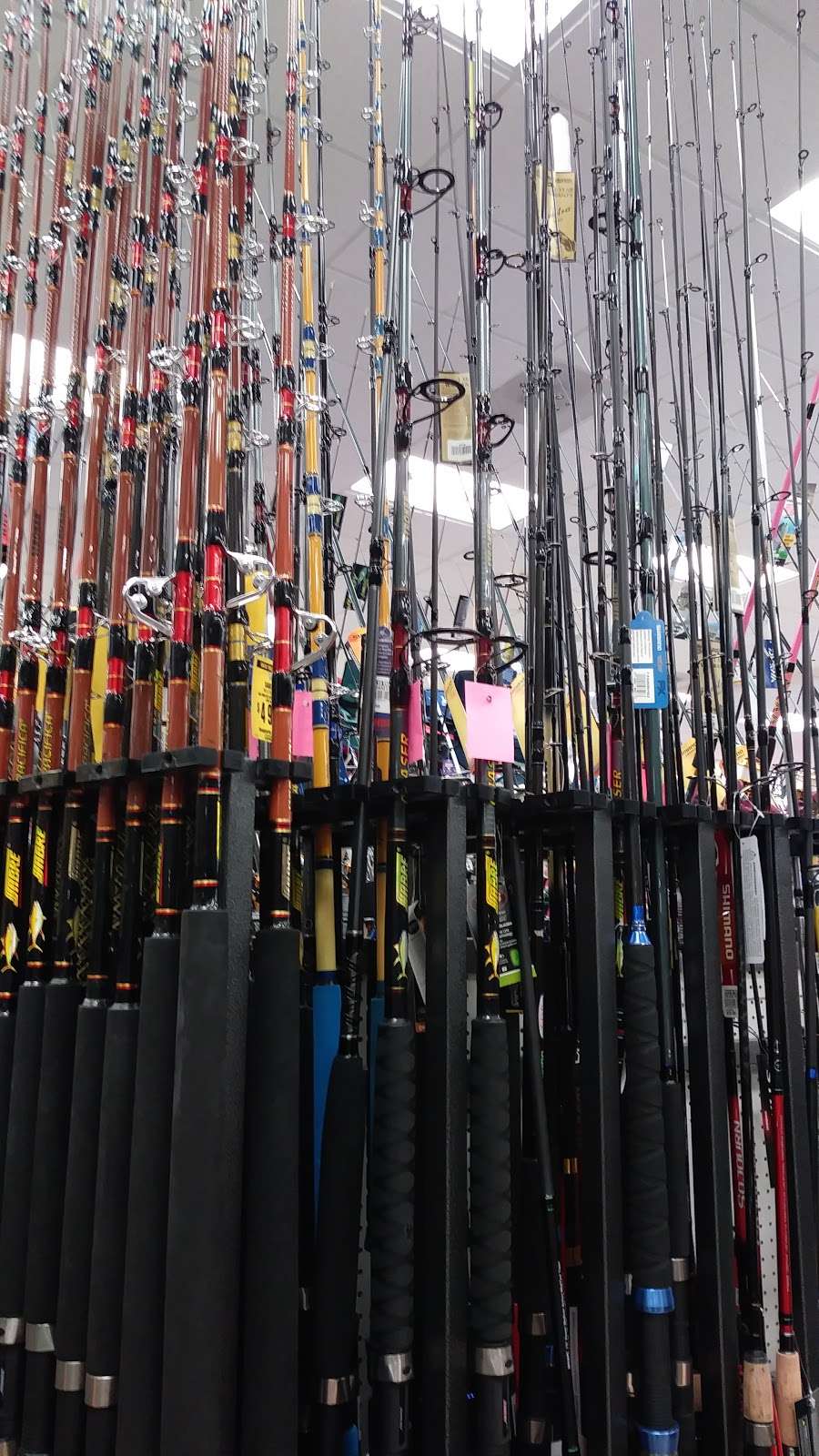 Big 5 Sporting Goods | 12630 Poway Rd, Poway, CA 92064, USA | Phone: (858) 513-2666