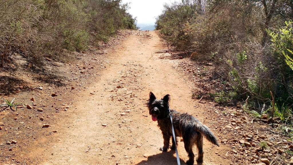 Miners Ridge Loop Trail | Black Mountain Hike, San Diego, CA 92129, USA | Phone: (858) 538-8082