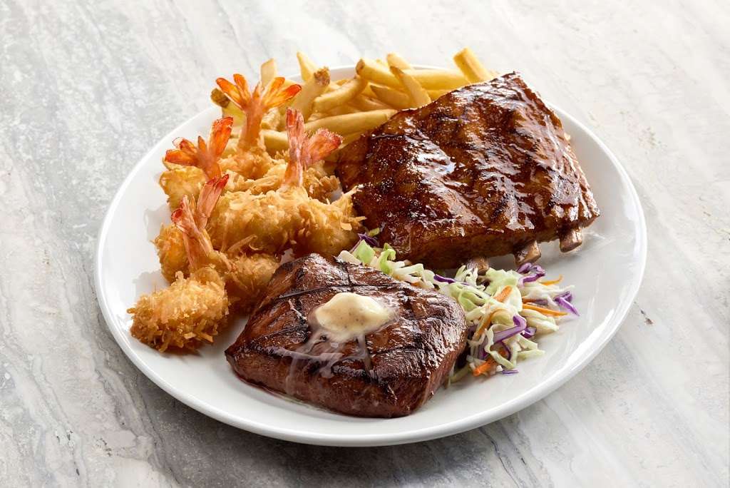 Rainforest Cafe | 505 Rain Forest Rd, Lake Buena Vista, FL 32830, USA | Phone: (407) 938-9100 Rainforest Cafe | 505 Rain Forest Rd, Lake Buena Vista, FL 32830, USA | Phone: (407) 938-9100