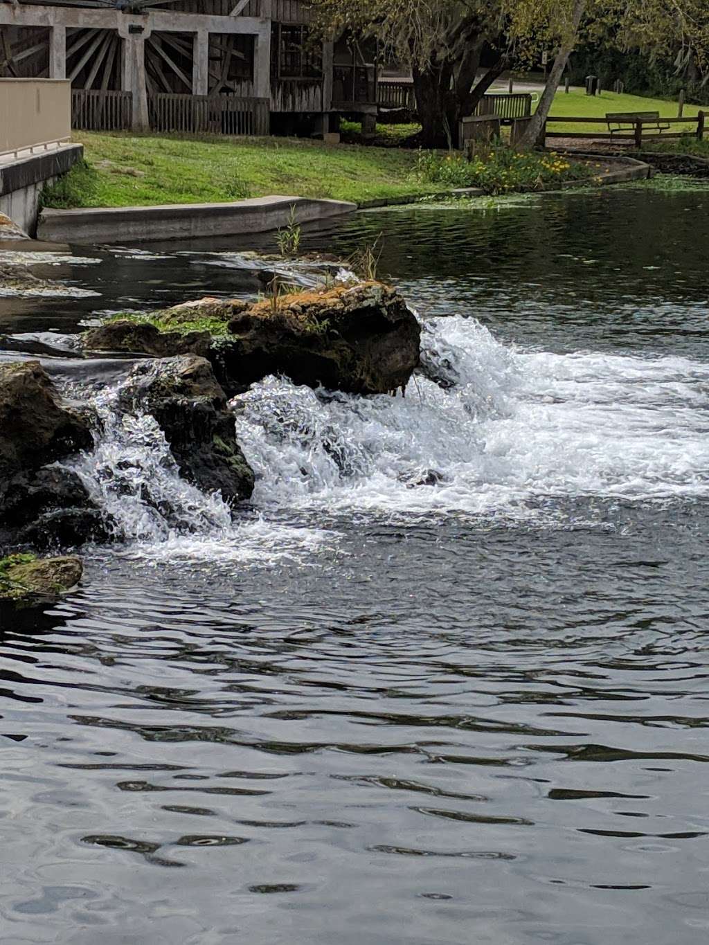 Fountain of Youth Eco/History Tours | 601 Ponce Deleon Blvd State Park De Leon Springs 3399, De Leon Springs, FL 32130, USA | Phone: (386) 837-5537