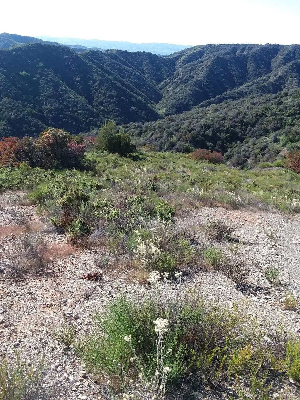 Sullivan Canyon Trailhead | 2118-2100, Queensferry Rd, Los Angeles, CA 90049