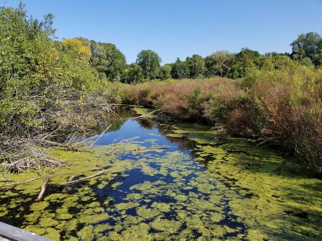 Harriet Alexander Nature Center | 2520 Dale St N, Roseville, MN 55113 | Phone: (651) 765-4262