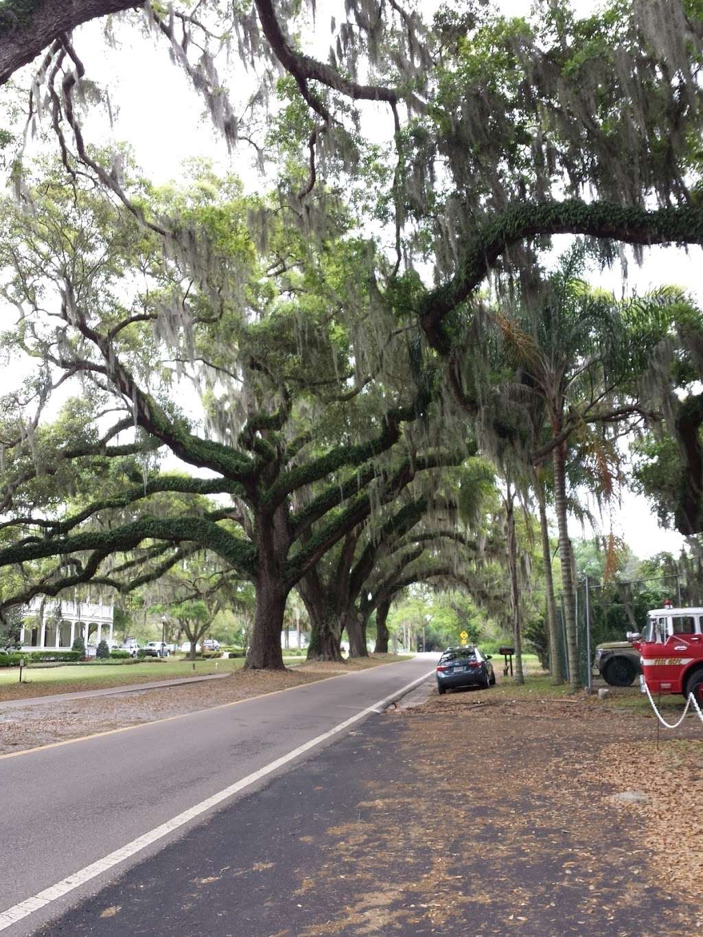 Country Gardens Apartments | 15122 W Colonial Dr, Winter Garden, FL 34787 | Phone: (407) 877-2378