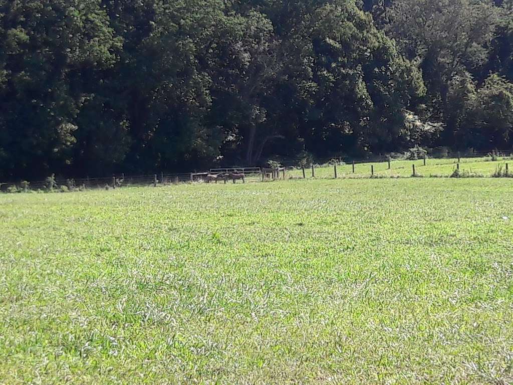 Walter B. Saul High School | 7100 Henry Ave, Philadelphia, PA 19128, USA | Phone: (215) 487-4467