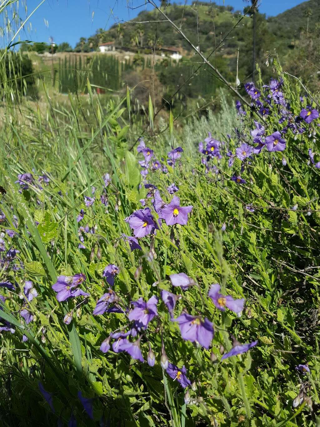 Los Padres National Forest Trailhead | Ojai, CA 93023, USA | Phone: (805) 646-4348