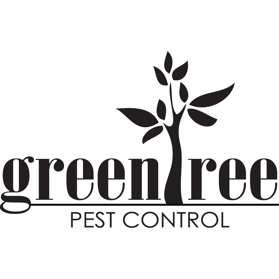 Greentree Pest Control | 17915 W Gelding Dr, Surprise, AZ 85388, USA | Phone: (623) 505-8841