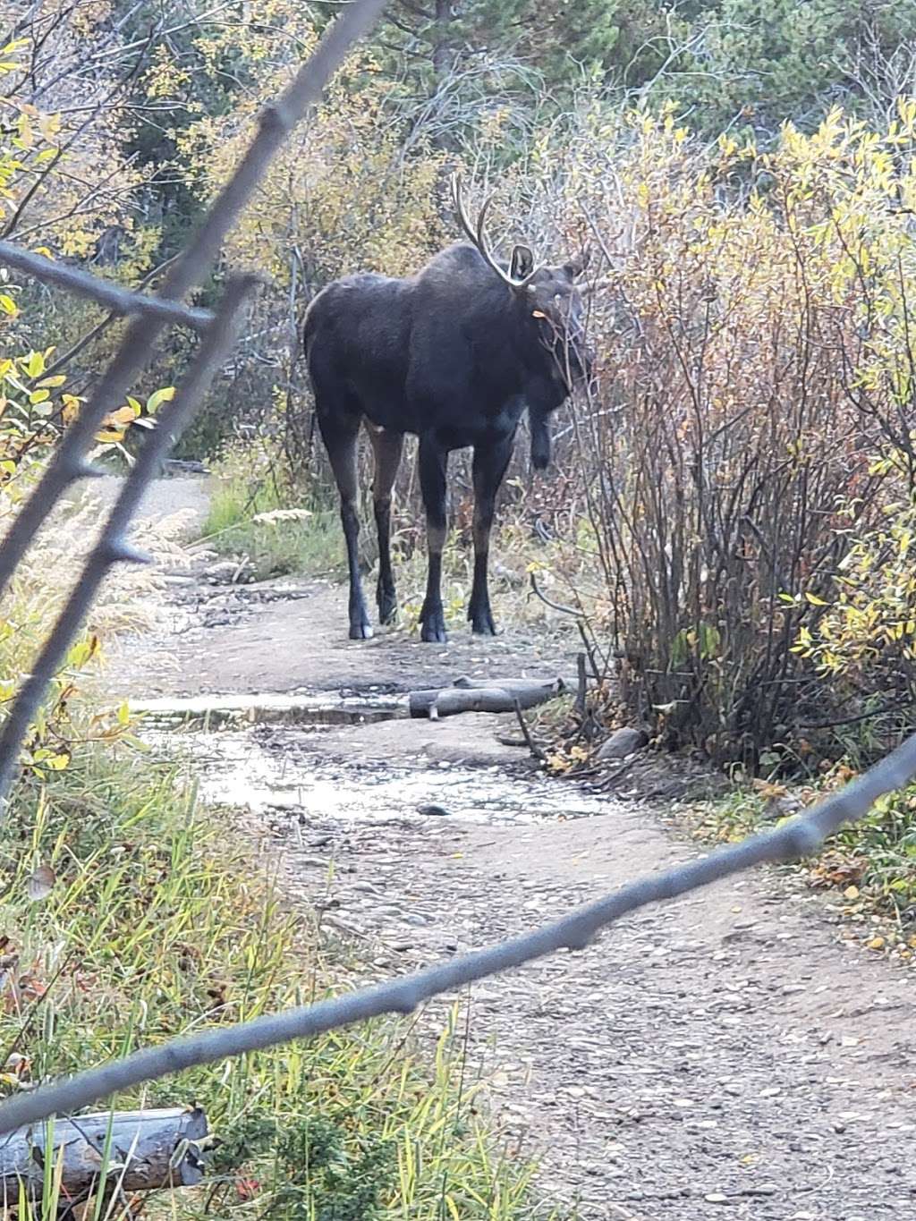 Monarch Lake Trailhead | Continental Divide Trail, Granby, CO 80446, USA | Phone: (970) 887-4100