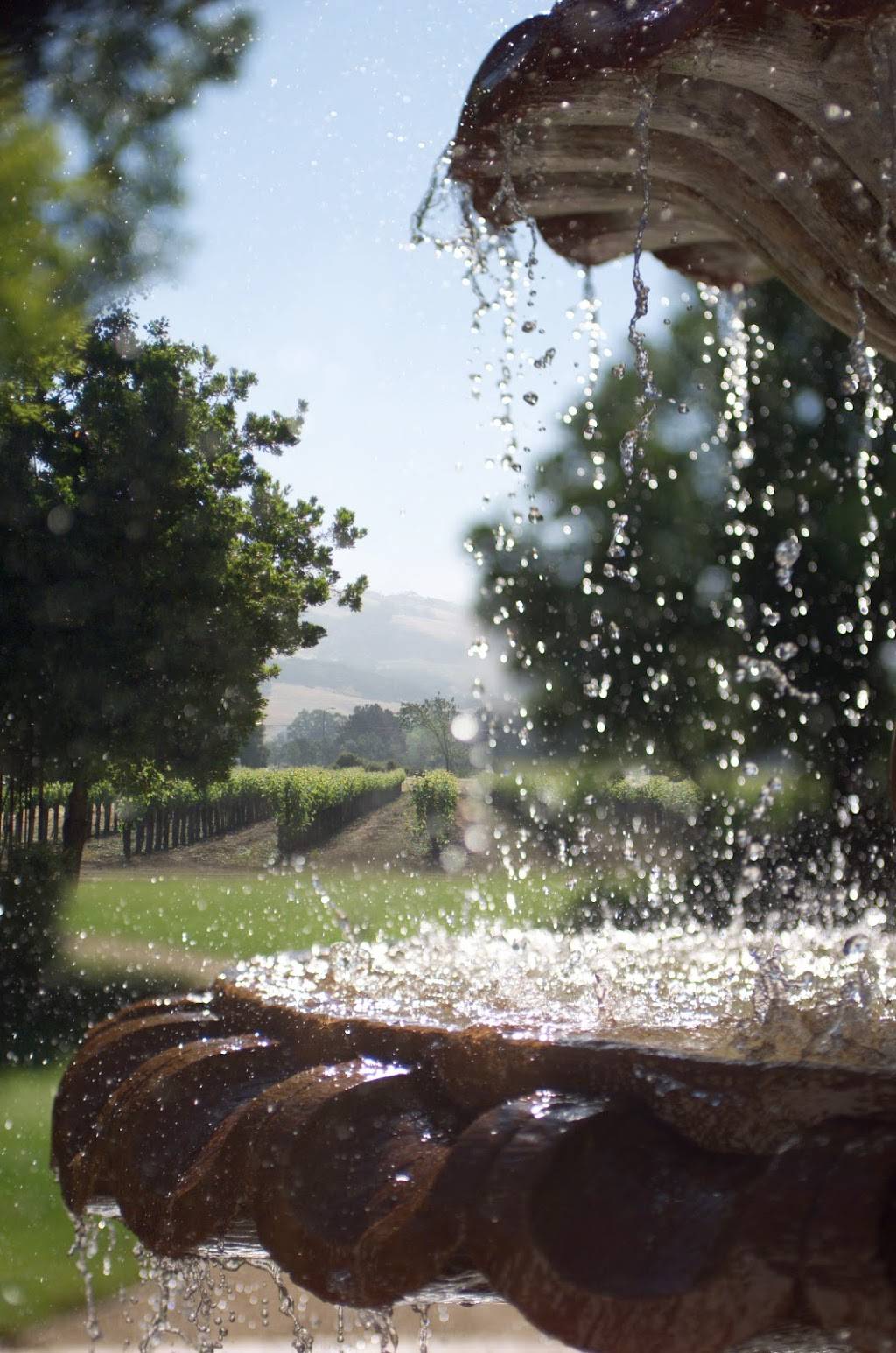 Vintners Resort | 4350 Barnes Rd, Santa Rosa, CA 95403, USA | Phone: (707) 575-7350