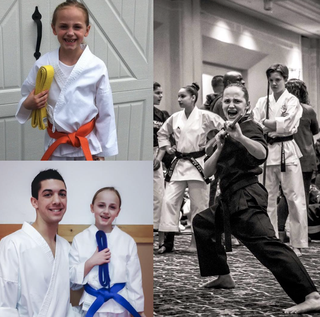 Seishin Martial Arts / Sport Karate Academy | 74 Main St, Medway, MA 02053, USA | Phone: (508) 533-1501