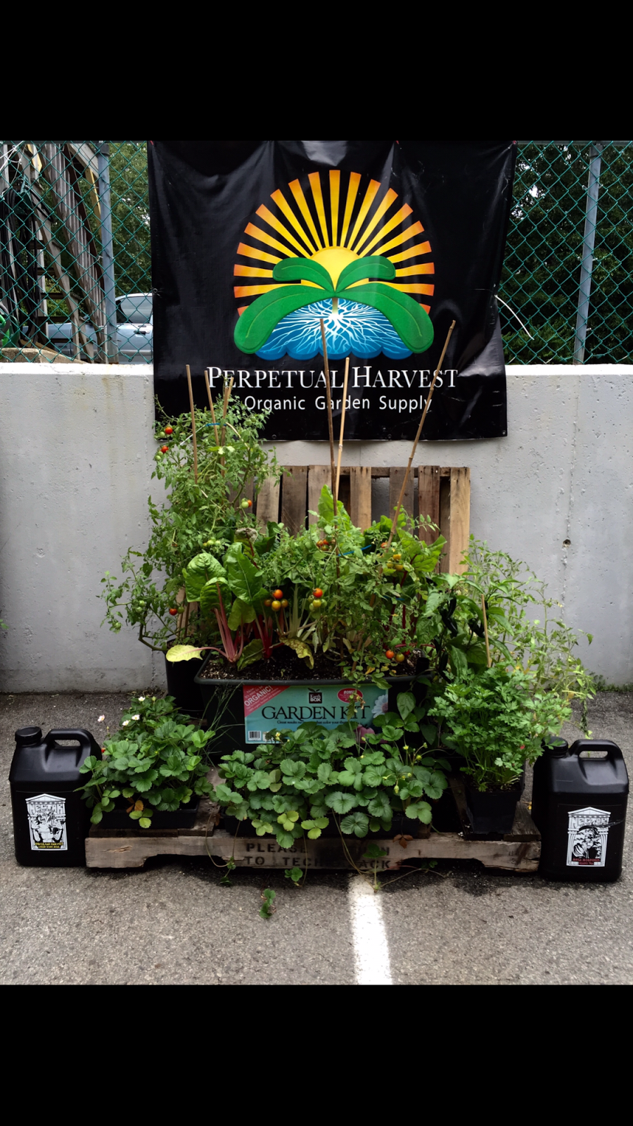 Perpetual Harvest Organic & Hydroponic Garden Supply | 273 Hanover St, Hanover, MA 02339, USA | Phone: (781) 829-6900