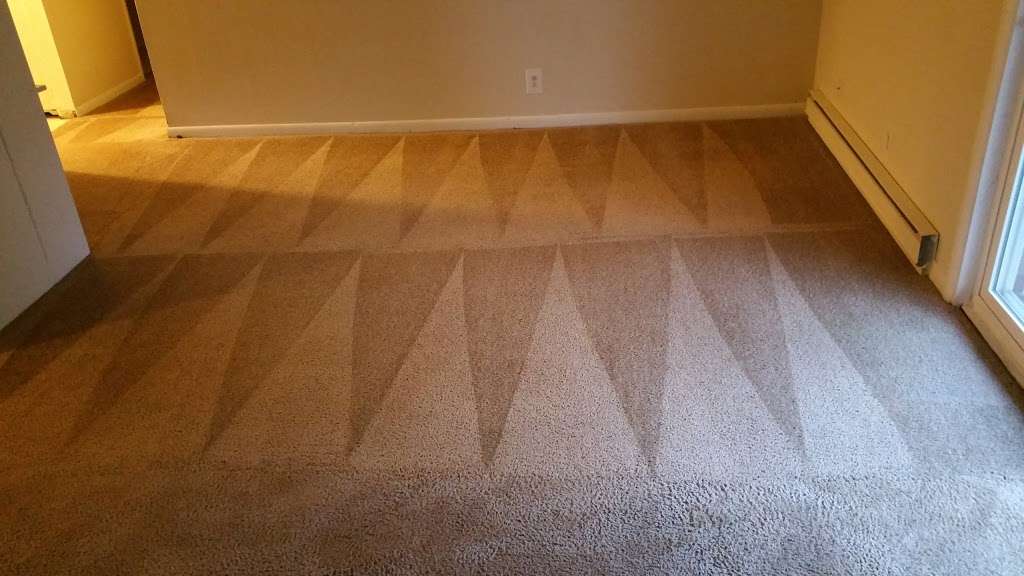 A Plus Carpet Cleaning LLC | 8424 Redfern N Dr, Indianapolis, IN 46239 | Phone: (317) 829-4589