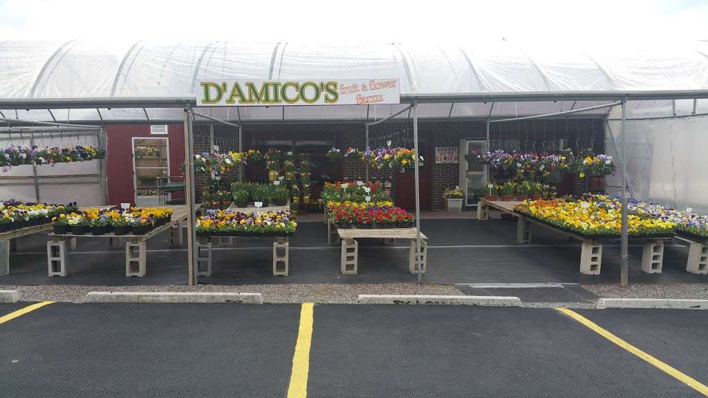DAmico Flower Farm | 460 Demarest Ave, Closter, NJ 07624, USA | Phone: (201) 767-1009
