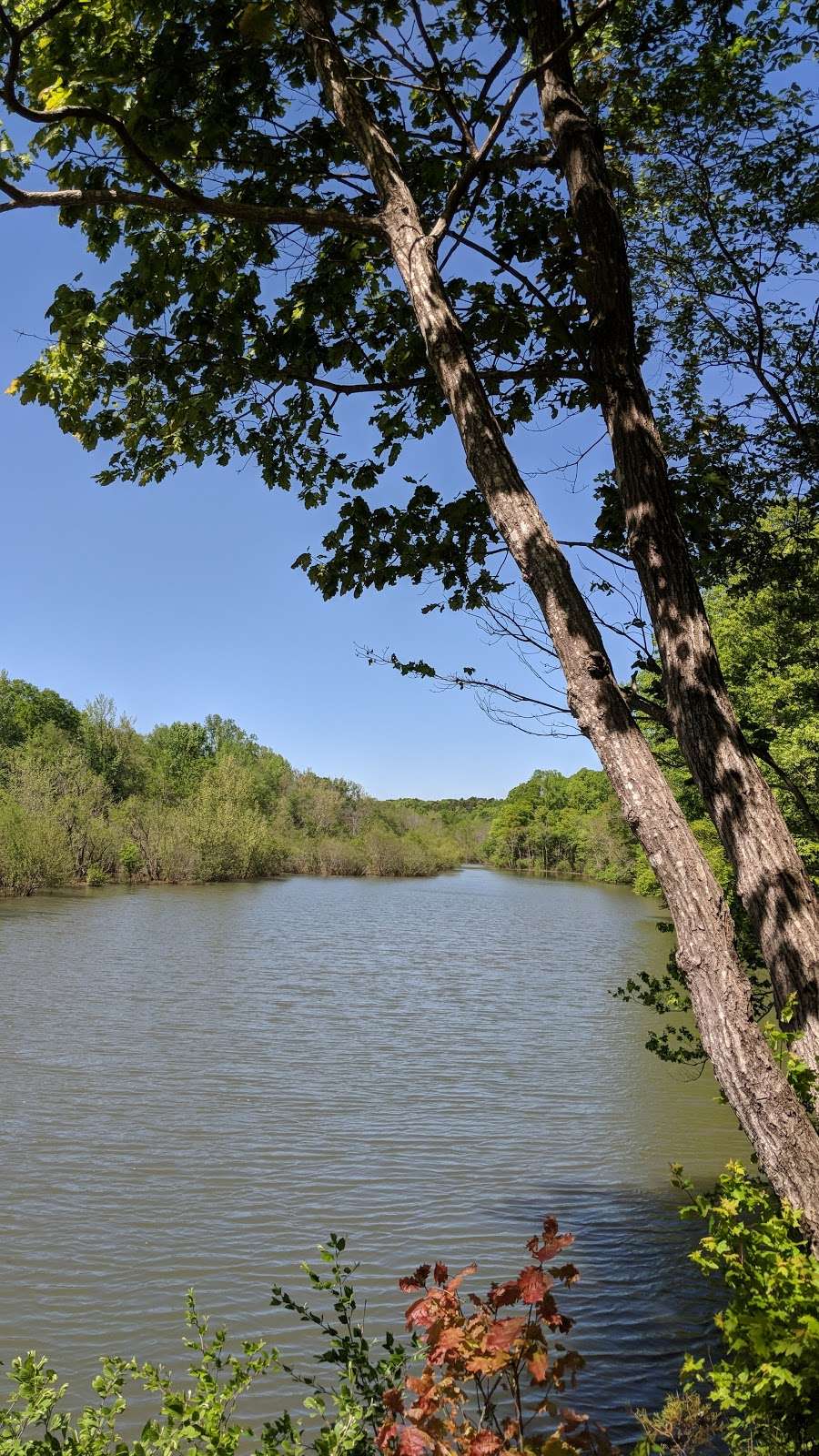 Stephens Road Nature Preserve | 5901 Stephens Rd, Huntersville, NC 28078, USA