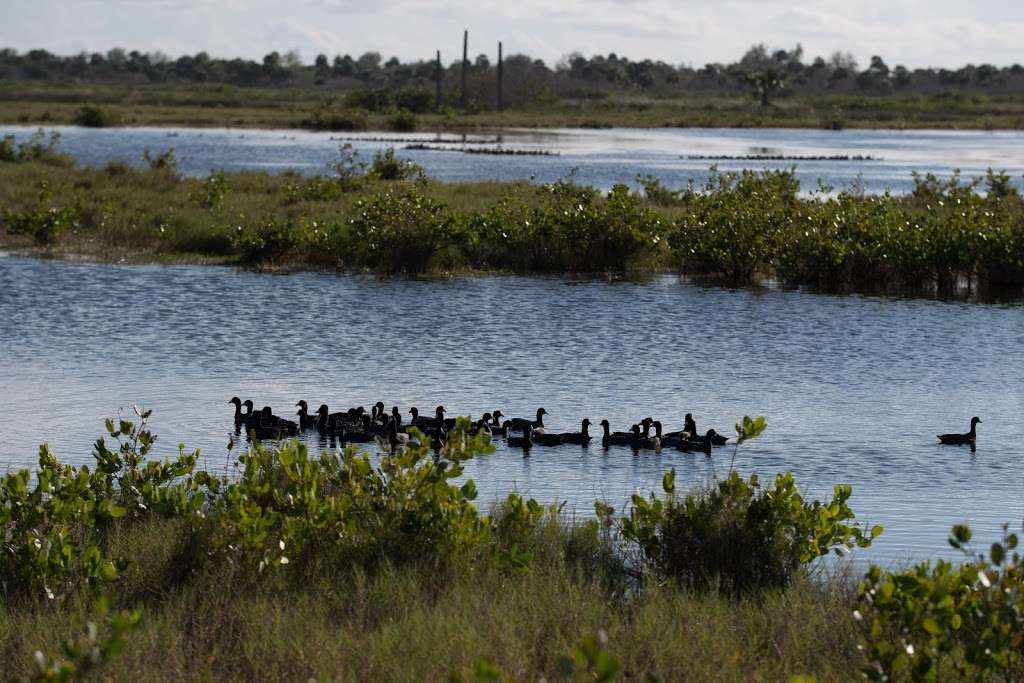 Biolab Boat Ramp | Marguerite, Florida, USA