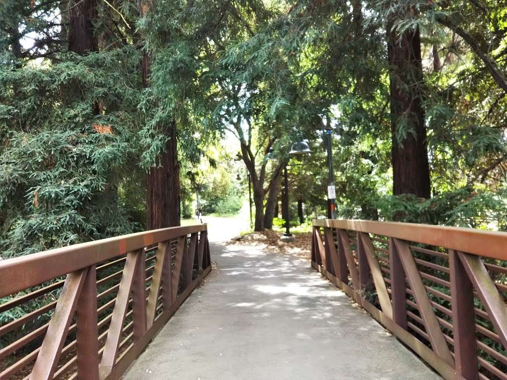 El Palo Alto Park | 117 Palo Alto Ave, Palo Alto, CA 94301, USA | Phone: (650) 329-2697