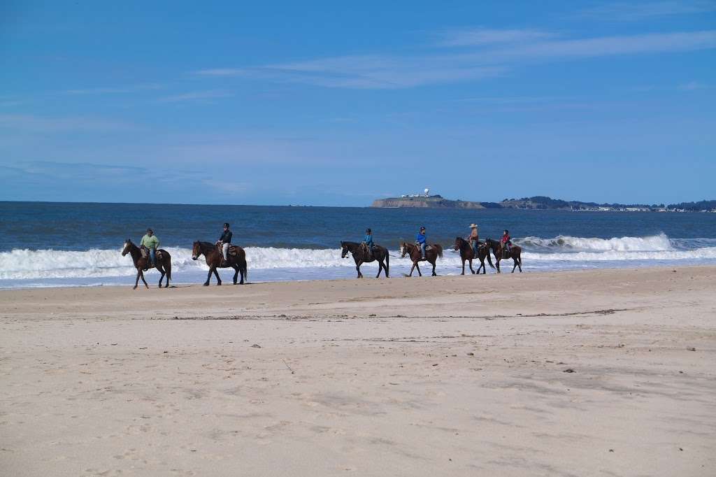 Cypress Grove | Half Moon Bay, CA 94019, USA