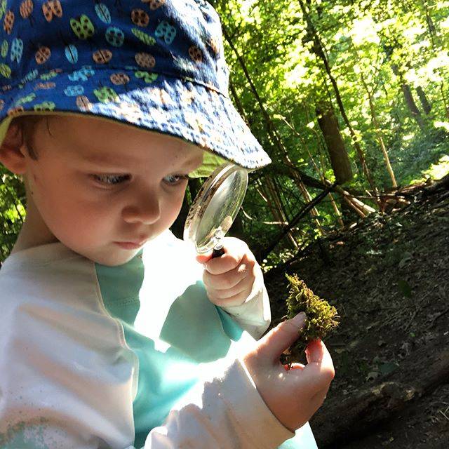 Thrive Forest School | 12501 Harmony Landing Rd, Goshen, KY 40026, USA | Phone: (502) 228-4362