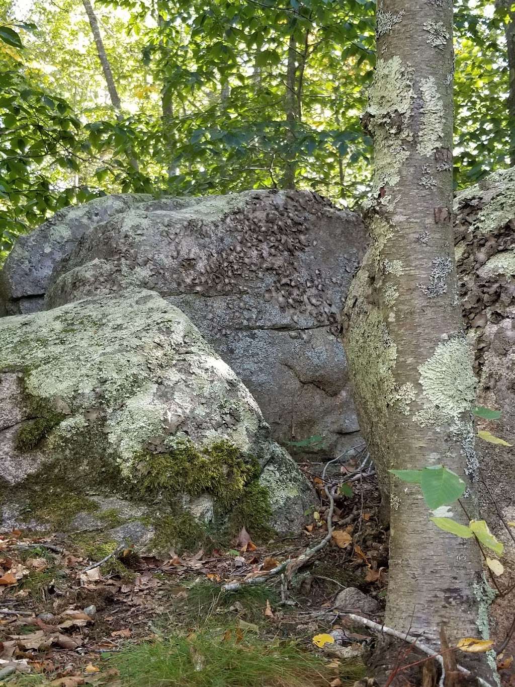 Babson boulder parking | Gloucester, MA 01930, USA