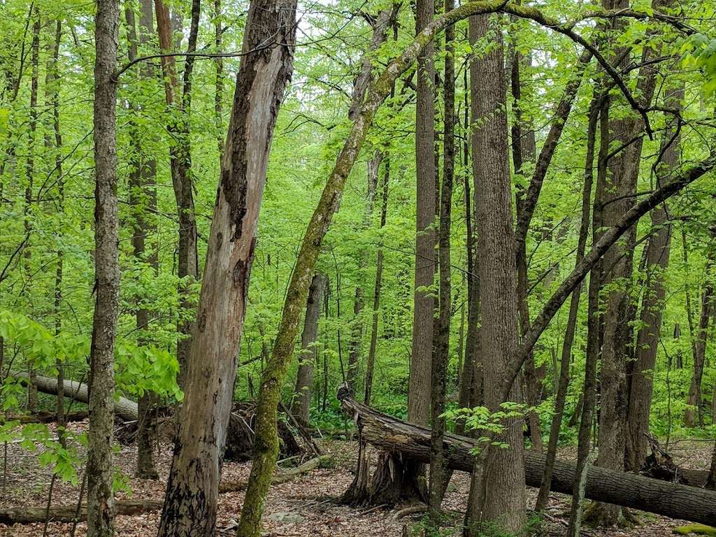 Granite Knolls Park | Yorktown Heights, NY 10598, USA