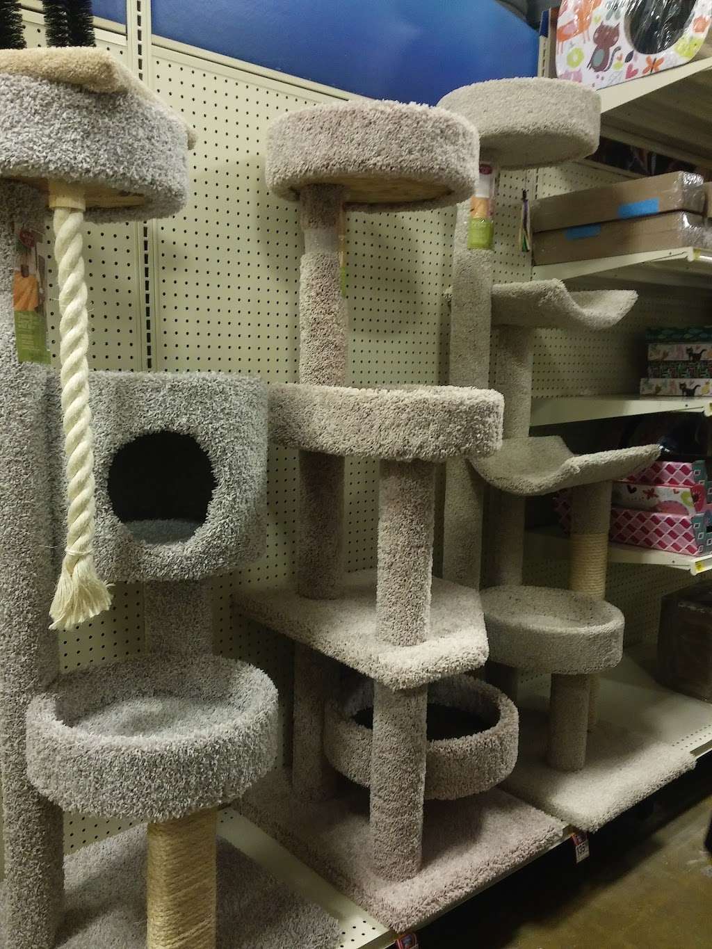 PetSmart | 5879 Lone Tree Way, Antioch, CA 94531 | Phone: (925) 755-8504