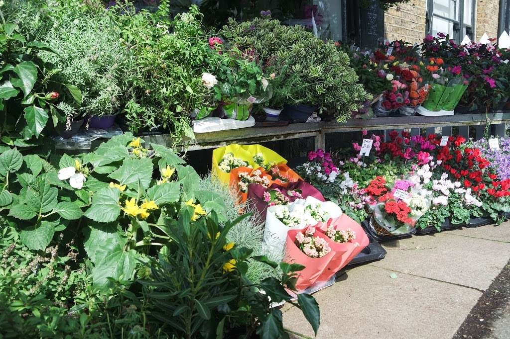 Bartleys Flowers Ltd | 82 Dulwich Village, London SE21 7AJ, UK | Phone: 020 8693 3048