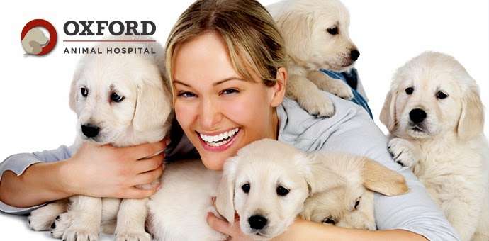 Oxford Animal Hospital | 13433 Switzer Rd, Overland Park, KS 66213, USA | Phone: (913) 681-2600