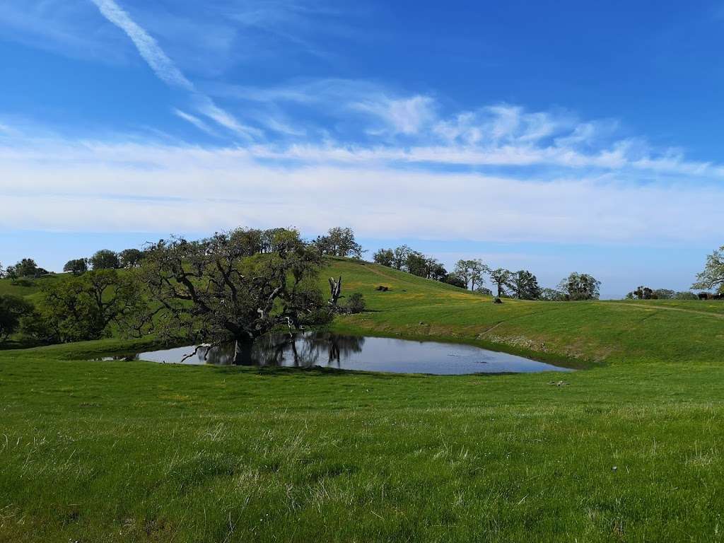 Ohlone Regional Wilderness | Sunol, CA 94586, USA | Phone: (888) 327-2757