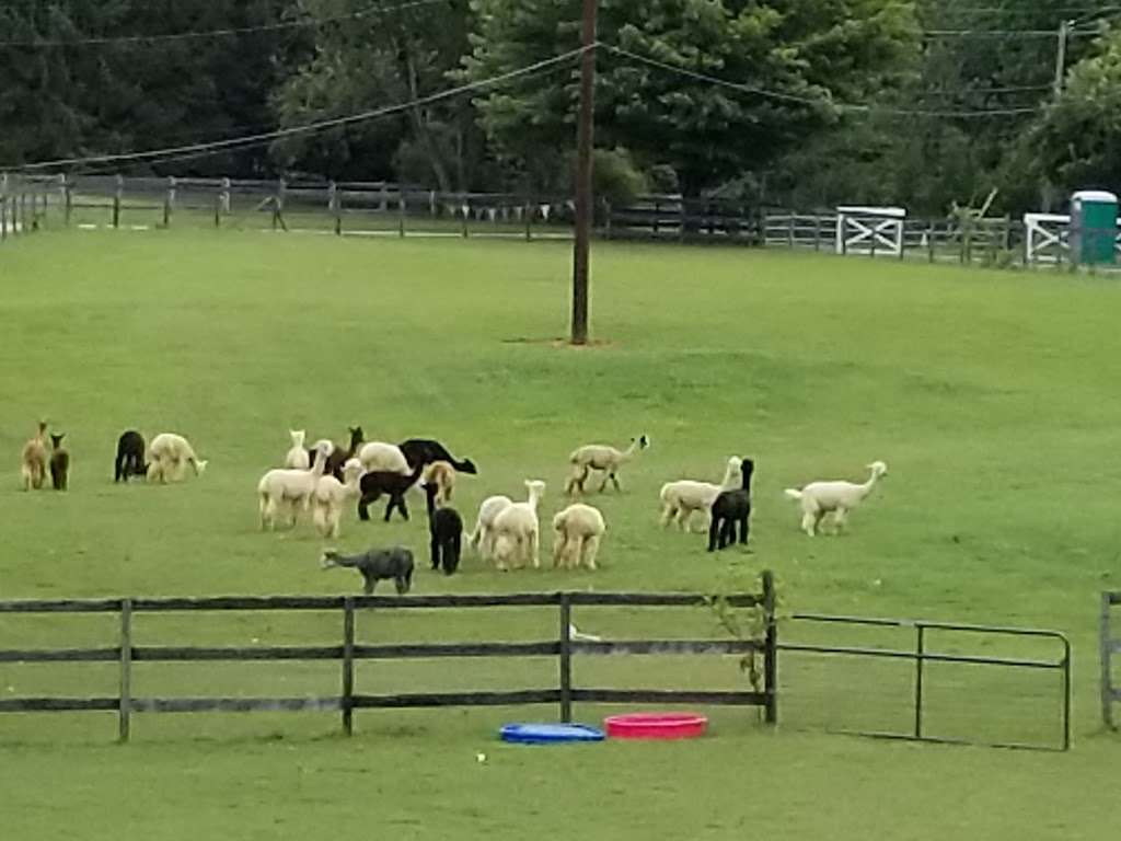 Alpaca Lane Criations | 15430 Mt Calvert Rd, Upper Marlboro, MD 20772, USA | Phone: (703) 401-1793